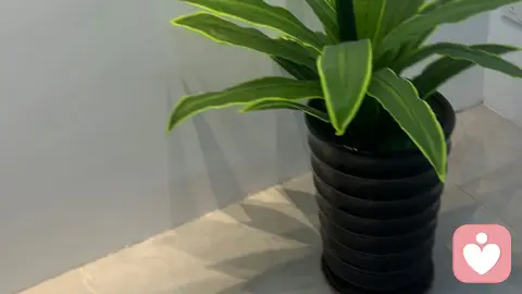 明知道我在婚内，为什么你还要这样纠缠我？