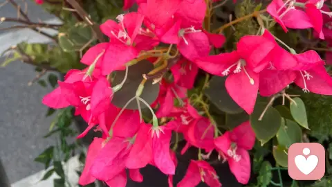 身处低谷时，那个爱你的他离开你了吗？