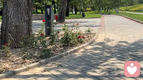 教育孩子的同时也是在成就自己