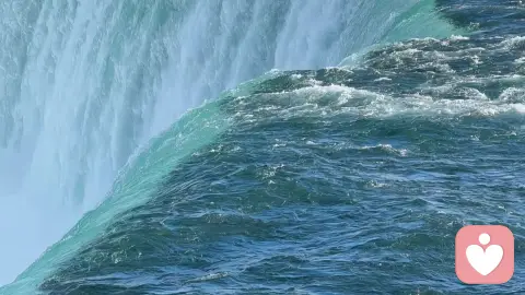 《爱与刻薄：案例手记》