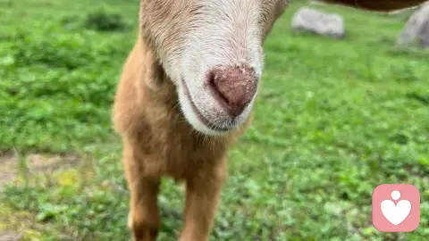 如何记录和分享彼此的性幻想：心理学视角下的亲密沟通指南