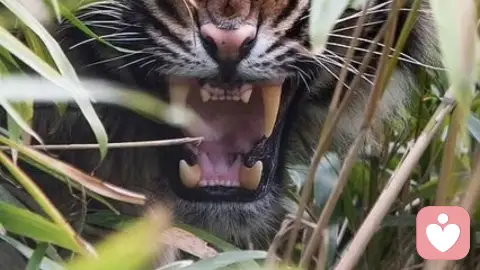 父母出轨对子女的心理影响：一场无声的创伤