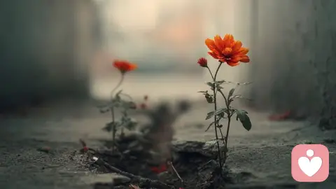 羞耻，是烙在灵魂上的隐形伤