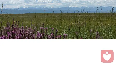 对于原生家庭的创伤，归因而不归罪