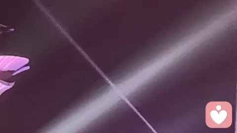 红灯亮起还可以前行吗