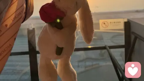 青春期亲子沟通的心理学智慧