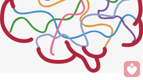 向左走还是向右走