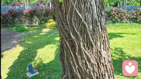 破解我执，立用我执