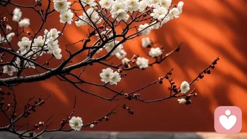 允许自己是朵晚开的花