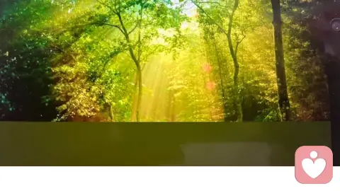 不完美，才圆满