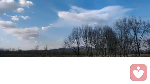 夫妻关系怎么能和谐