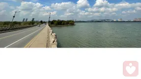 不想出门，什么都不想做，是什么原因？