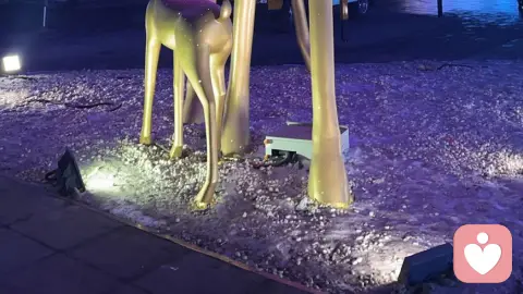 亲密关系的安全密码