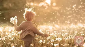 那个在聚会上沉默的小孩，不是你不够好