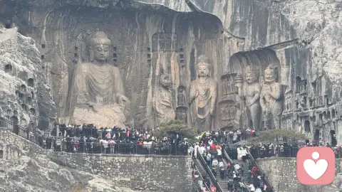 每日推荐一本心理学书籍