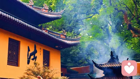 情绪,是身体的语言,健康的密码。