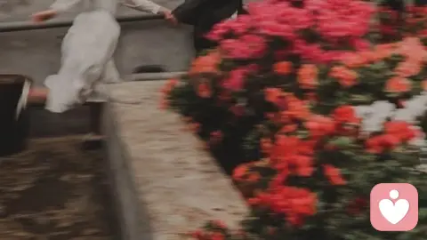 依恋类型：4种主流+2种特殊