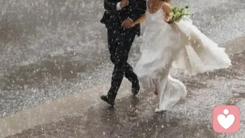 依恋与亲密关系：读懂你的依恋模式，才能爱得自由又安心