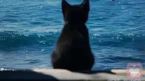 情感忽视：最沉默的伤害，最隐蔽的内耗