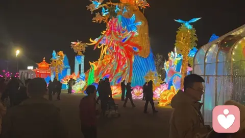 允许一切发生，是你内心强大的终极答案