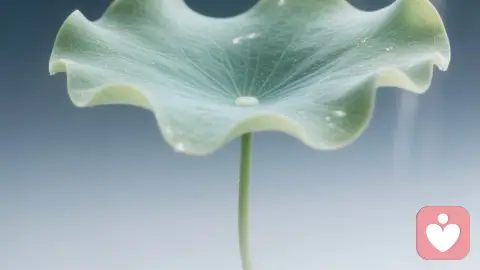 关于“婆婆施压”与情绪边界