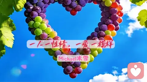 一人一性情，一爱一模样