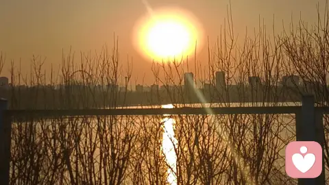 日常生活中的心理学技巧:普通人一看就懂、懂了就能用