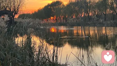 《分手复合指南》