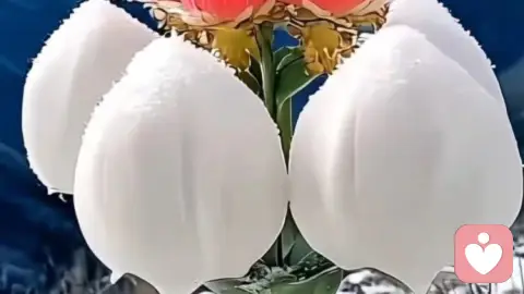 当伴侣遇到问题我们可以做什么