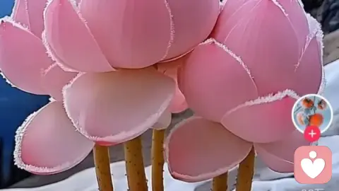 非暴力沟通的重要性