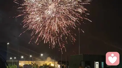 晚风知道我喜欢你