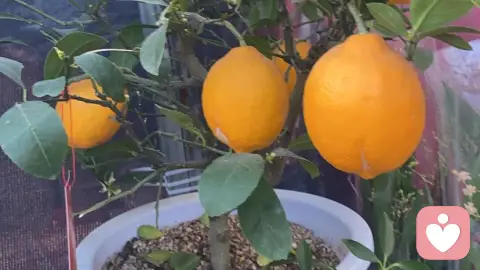 我的身体，从“报废边缘”救回来了