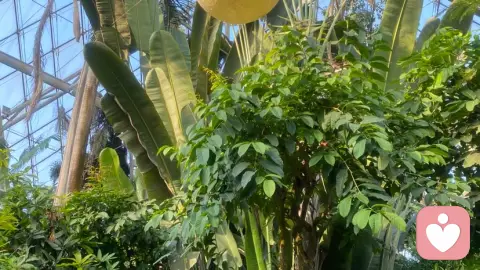 带着孩子，我终究遇见了属于我们的光