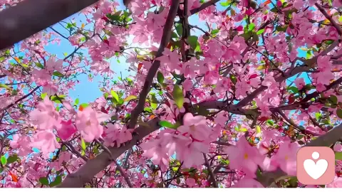 解码当代婚恋心理：在清醒与焦虑间寻得平衡