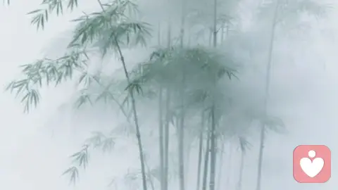 都说单身快乐,为什么还是害怕单身?