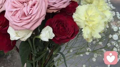 年轻人不婚不育：不是任性，是清醒选择。