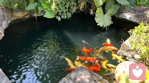 女生几岁生娃最合适？大龄真的不好吗？不焦虑、讲真话的答案。