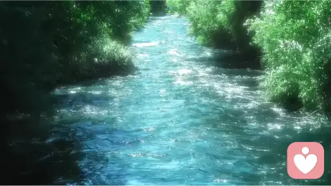 对方出轨后如何处理？