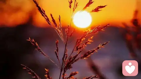 别让你的情绪“堵车”给心灵一份温柔的疏导