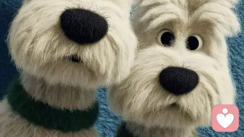 什么样的感情值得你挽回