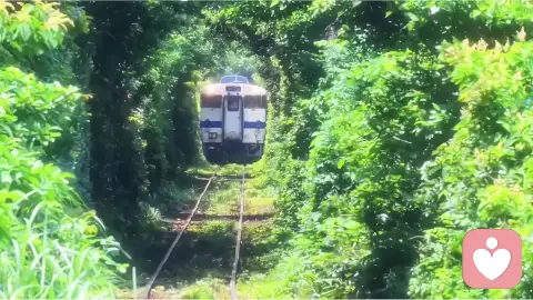 破茧成蝶：破解自我压抑的心理学指南
