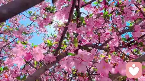 以细节为桥，搭建亲密关系的情绪绿洲