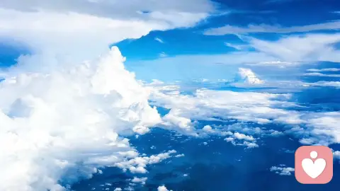 强者之爱：自足而深邃的看见