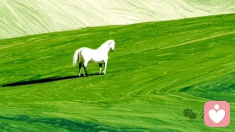 信任不是教出来的是陪出来的