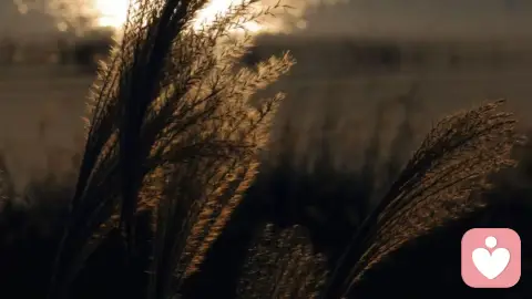 孤独时,我愿意做你最安心的倾听者