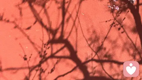 井蛙不可语海，夏虫不可语冰