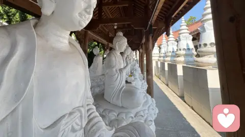 恐婚心理:自我识别与科学调适指南