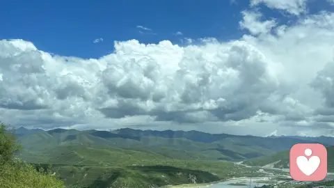 如果这一年，你觉得“事与愿违”