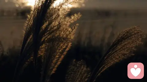 白天我都在｜别硬扛，你的心事我慢慢听