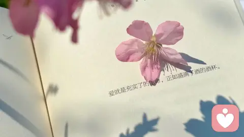 活出最真实的自己 才能遇到真正爱你的人